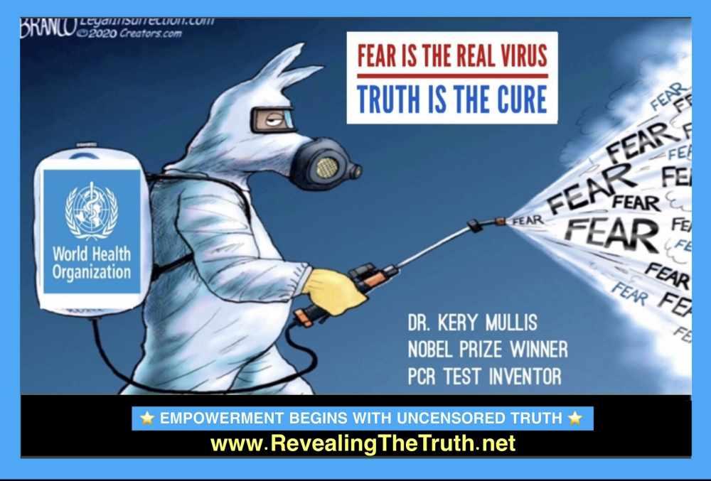Fear is the Real virus