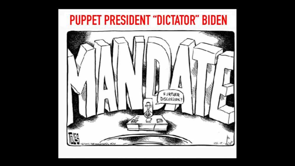 President puppet Biden