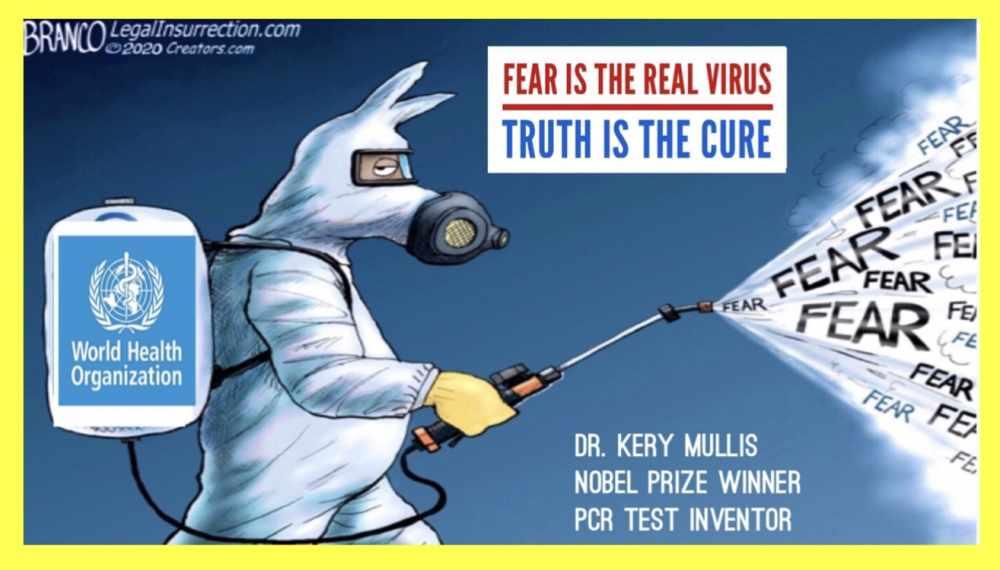 Fear is the real virus Fear is the real virus